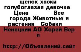 щенок хаски  голубоглазая девочка › Цена ­ 12 000 - Все города Животные и растения » Собаки   . Ненецкий АО,Хорей-Вер п.